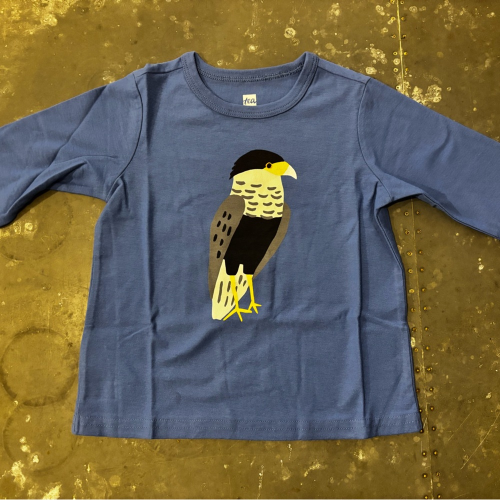Tea Collection Blue Falcon Graphic Long Sleeve Tee